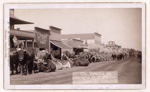 Ox teams at Sturgis, D.T., pub.1887 - 1892 by John C. H. Grabill