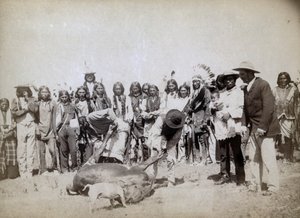 Skinning Beef, 1891