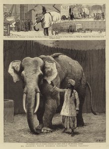 Mr Barnum