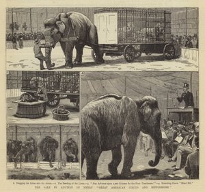 The Sale by Auction of Myers