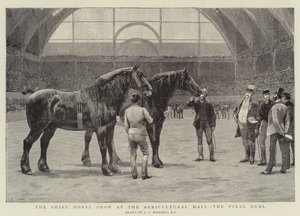 The Shire Horse Show at the Agricultural Hall, the Final Duel