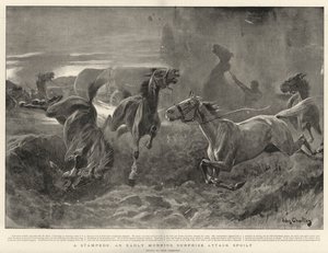 A Stampede, an Early Morning Surprise Attack spoilt