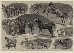 Notes at the Hackney Horse Society