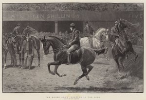 The Horse Show, Hunters in the Ring