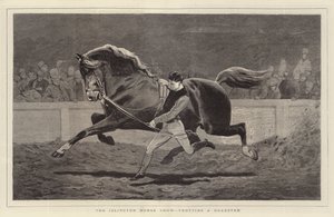 The Islington Horse Show, trotting a Roadster by John Charlton