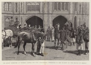 The Queen Receiving at Windsor Castle the Five Arab Horses Presented to Her Majesty by the Sultan of Muscat