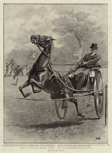 The Richmond Horse Show, an Unrehearsed Exhibition