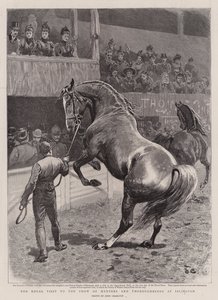 The Royal Visit to the Show of Hunters and Thoroughbreds at Islington