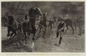 The Show of the Hackney Stud-Book Society at the Agricultural Hall, Pace and Action