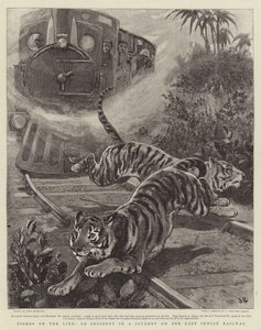 Tigers on the Line, an Incident in a Journey on the East Indian Railway
