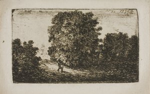 Trees Bordering a Road