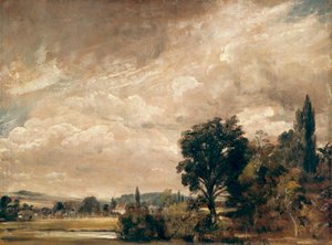 Harnham Ridge from Archdeacon Fisher