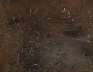 Rushes by a Pool by John Constable