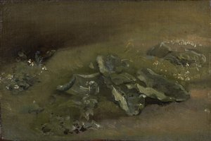 Study of a Burdock by John Constable