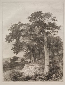 At Colney by John Crome