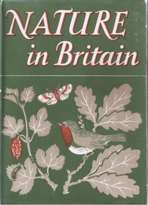 Study of Trees, Nature in Britain by John Crome