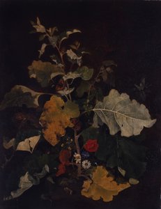 Study of a Burdock by John Crome