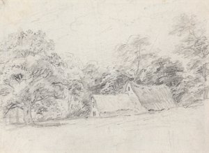 Two Buildings Among Trees