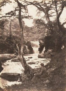 The Upper Fall by John Dillwyn Llewelyn