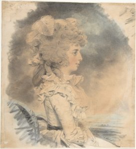 Mrs. Palmer by John Downman