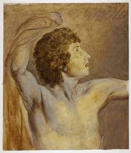 Study after Nature by John Downman