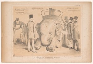 Caricature on the Appointment of Henry Hardinge as Governor of India (A Lesson in Elephant Riding! Studied from Nature in the Zoological Gardens) (HB Sketches series)