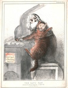 The Cat