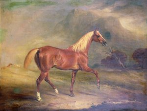 Chestnut Arab Stallion by John E. Ferneley