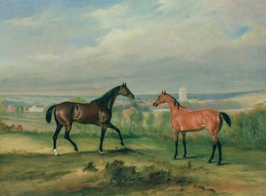 Count Bathyanys Favourite Hunters at Melton Mowbray by John E. Ferneley