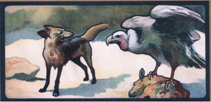 Jackals by John Edwin Noble