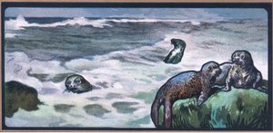 Seals