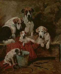 Kennel Companions by John Emms