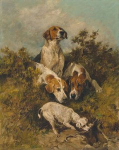 On the Scent by John Emms