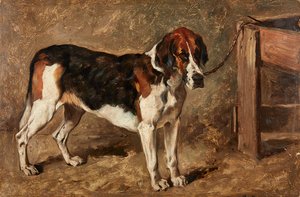 Study of a Hound
