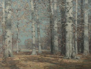 Autumn Beeches by John Fabian Carlson