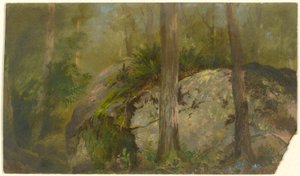 Forest Scene