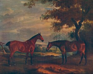 Yorkshire Hunters at Grass