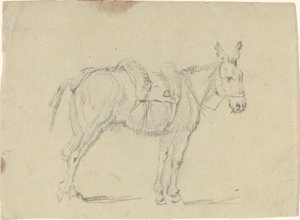 Donkey Stretching a Hind Leg by John Flaxman