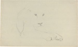 Lion by John Flaxman