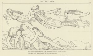 The Evil Race