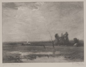Lowlands Afternoon