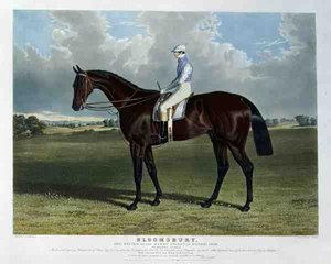 Bloomsbury, the Winner of the Derby Stakes at Epsom by John Frederick Herring Snr
