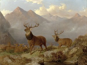 Stags and Hinds in a Highland Landscape