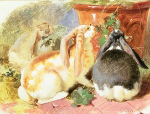 A Study of Three Lop-Eared Rabbits by John Frederick Herring Senior