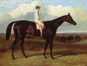 Jonathan Wild a Dark Bay Race Horse, at Goodwood, T. Ryder up, 1846 by John Frederick Herring Senior