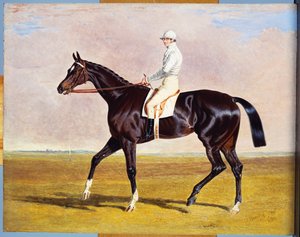 Lucetta with J. Robinson Up by John Frederick Herring Senior