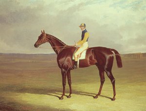 Mr. M. Stanleys Crutch on Newmarket Heath, 1833 by John Frederick Herring Senior