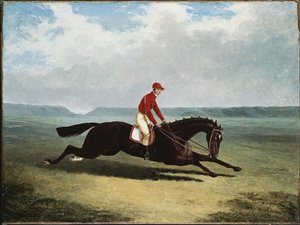 The Baron with Bumpy Up, at Newmarket by John Frederick Herring Senior