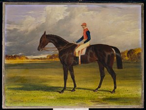 The Earl of Chesterfield