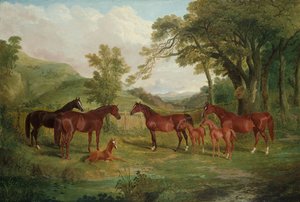 The Streatlam Stud, Mares and Foals by John Frederick Herring Senior